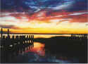SunsetoverChincoteagueIsland-Dec2007.jpg (780638 bytes)